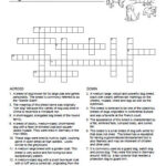 Dogs Crossword Puzzle MyFreePrintable