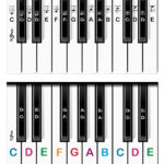 Piano Stickers For All Keyboards And Pianos Adults Kids White Black
