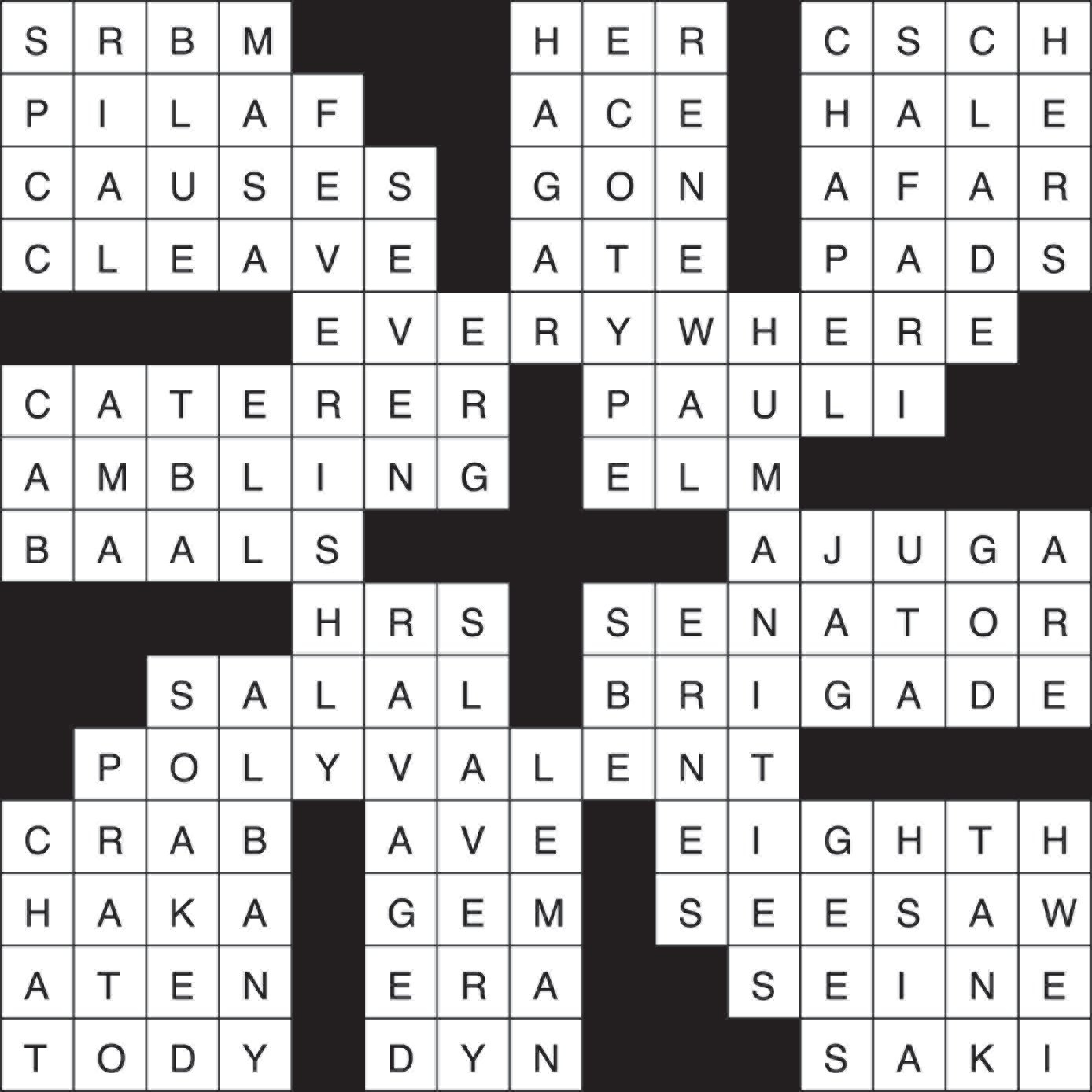 Crossword Puzzle Answers February 4 10 2021 The Northern Light