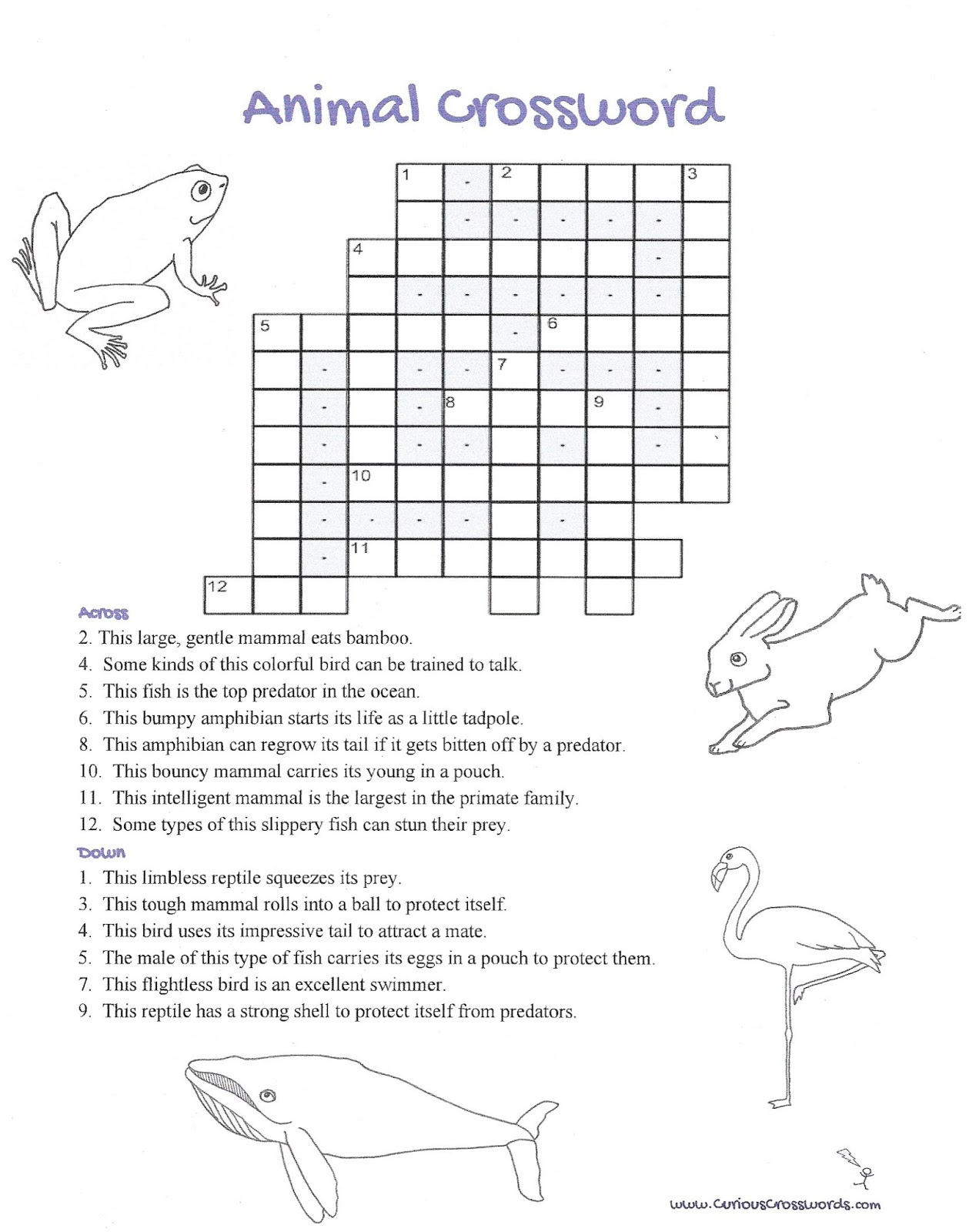 Curious Crosswords Animal Crossword